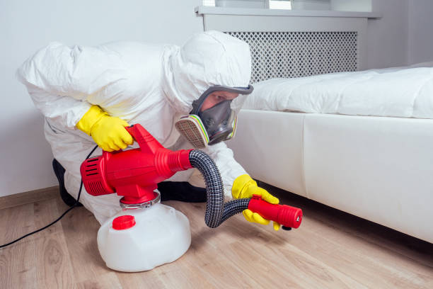 Best Pest Inspection Near Me  in Carteret, NJ