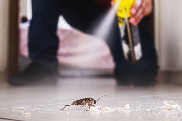 Best Residential Pest Control  in Carteret, NJ