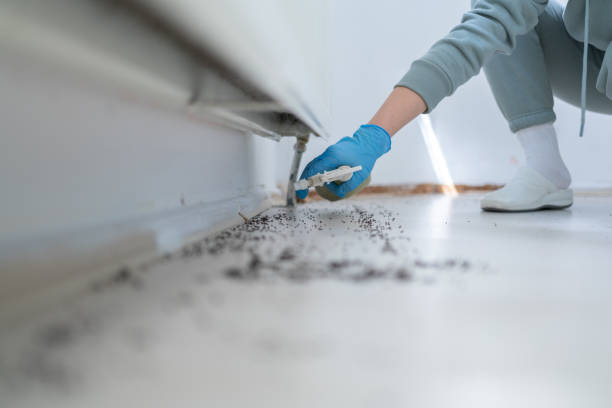 Best Pest Control Near Me  in Carteret, NJ