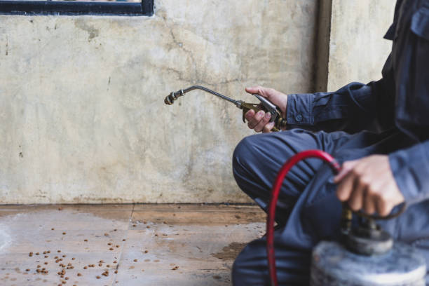Best Best Pest Control Companies  in Carteret, NJ